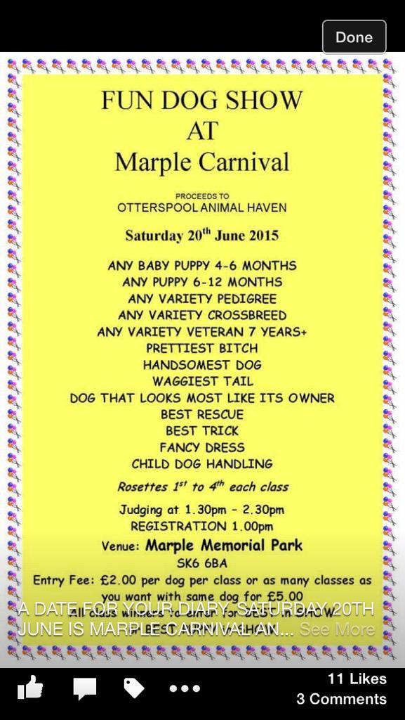 I am going to this simply to see who wins waggiest tail