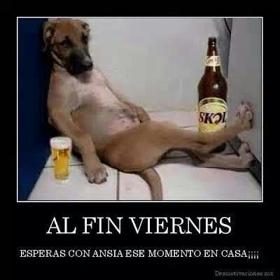 MelRSanchez tweet picture