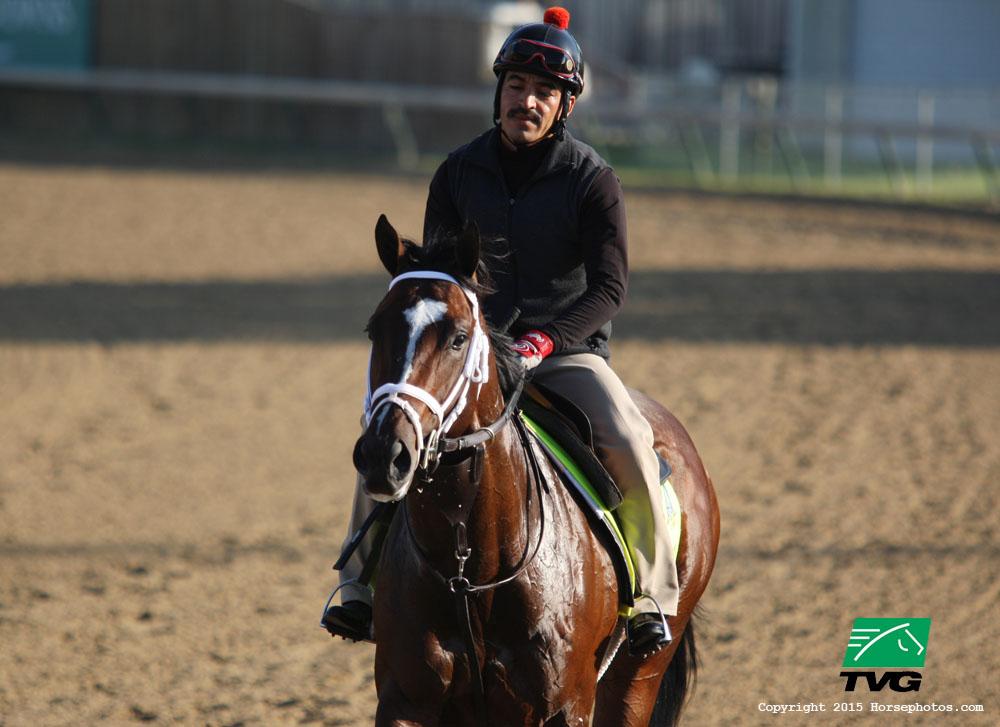 HRTVInsider's tweet photo. Is Materiality the horse to watch out for in the #BelmontStakes? Check out his profile here: http://t.co/7jGWUbpRFI http://t.co/VBhFHbgFSL