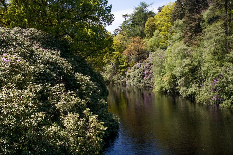 Errwood Reservoir today.  Finally T shirt weather