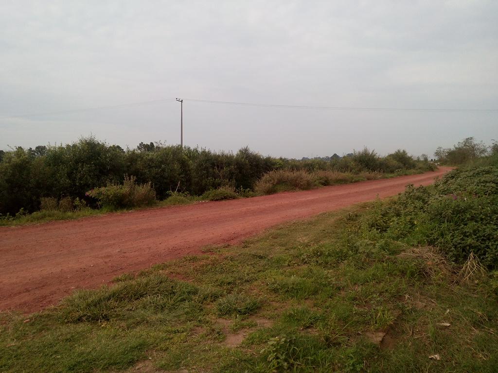 gabyiss's tweet photo. Precioso lugar para correr!!! http://t.co/7OKXijUnCI