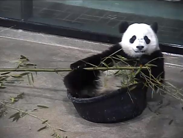 Why, yes, I am quite comfortable like this. Thank you for asking.