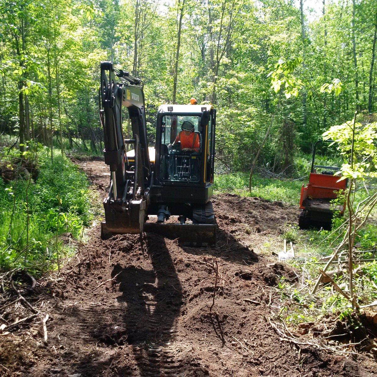 TRCA_Trails's tweet photo. Trail construction in Peel Region by the @TRCA_Trails Implementation Crew @regionofpeel #trailconstruction #TRCA http://t.co/ZLtbvvNxxw