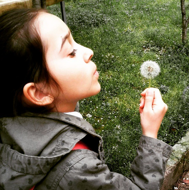 Bir esintiyle uçar bu Karahindiba. Ona üflemeye kim görse dayanamaz.