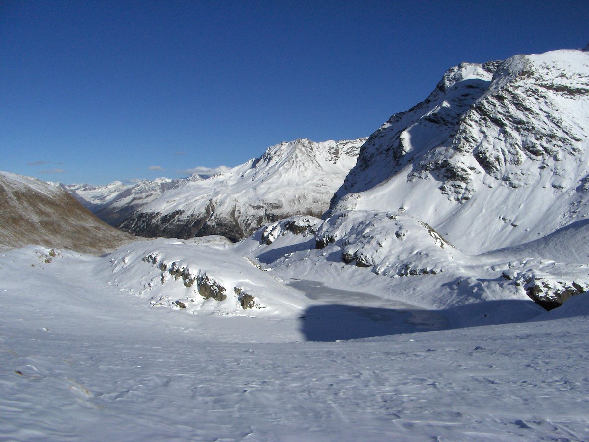 RifugioViola tweet media