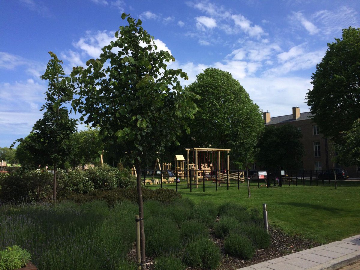 Summer arrives at Roussillon Park #newbuild #sunshine #chichester