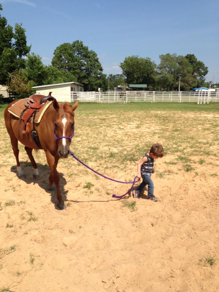 KelseyBelsey93's tweet photo. #littlebrother #futurecowboy #boyand hishorse http://t.co/JCoxkrQ0os