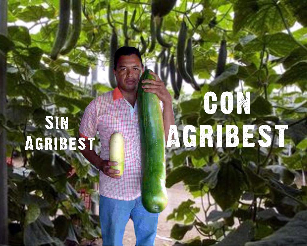 Con el sistema Agribest vas a notar la diferencia. Nos encargamos de potenciar tus cultivos.