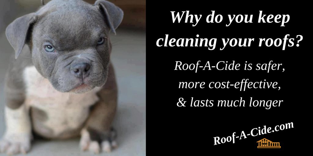 SpotlessRoofSol's tweet photo. http://t.co/EulDeHAI8M