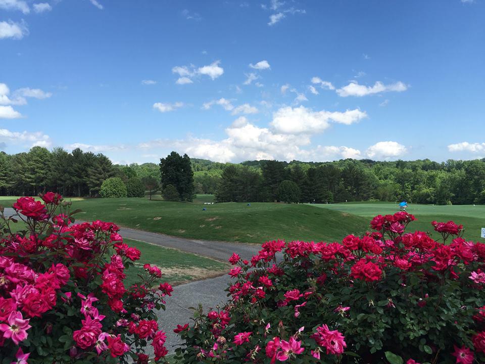 Pilot Knob Park Golf tweet media