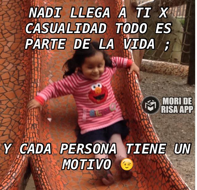 EdgarMaca tweet picture