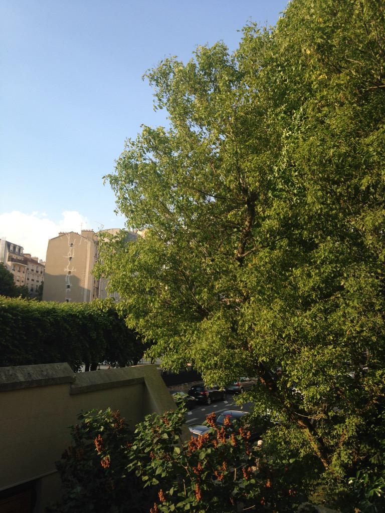 MarcMich's tweet photo. Just returned to hotel from a great #doctors20 . And now thunderstorm seems to be coming. http://t.co/RMkeHX1S0K
