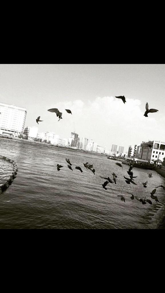 لا اُريد أن أُخبركِِ بمدىَ إشتياقِي لگِ ، فقط هنيئاً لـ كُل من هُم حولكِ دائماً♡!