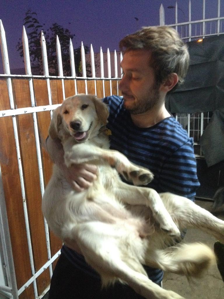 Perras Tuiteras🐾 Barrio Franklin 🇨🇱🐶🐱 tweet media