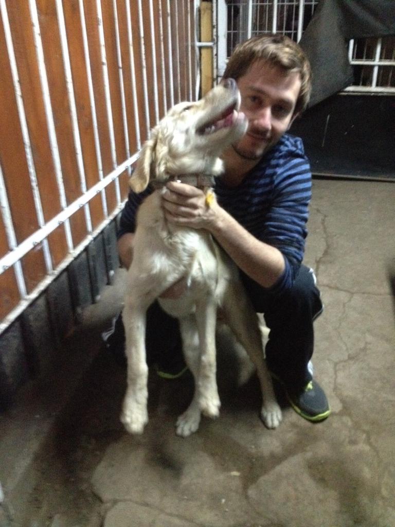 Perras Tuiteras🐾 Barrio Franklin 🇨🇱🐶🐱 tweet media