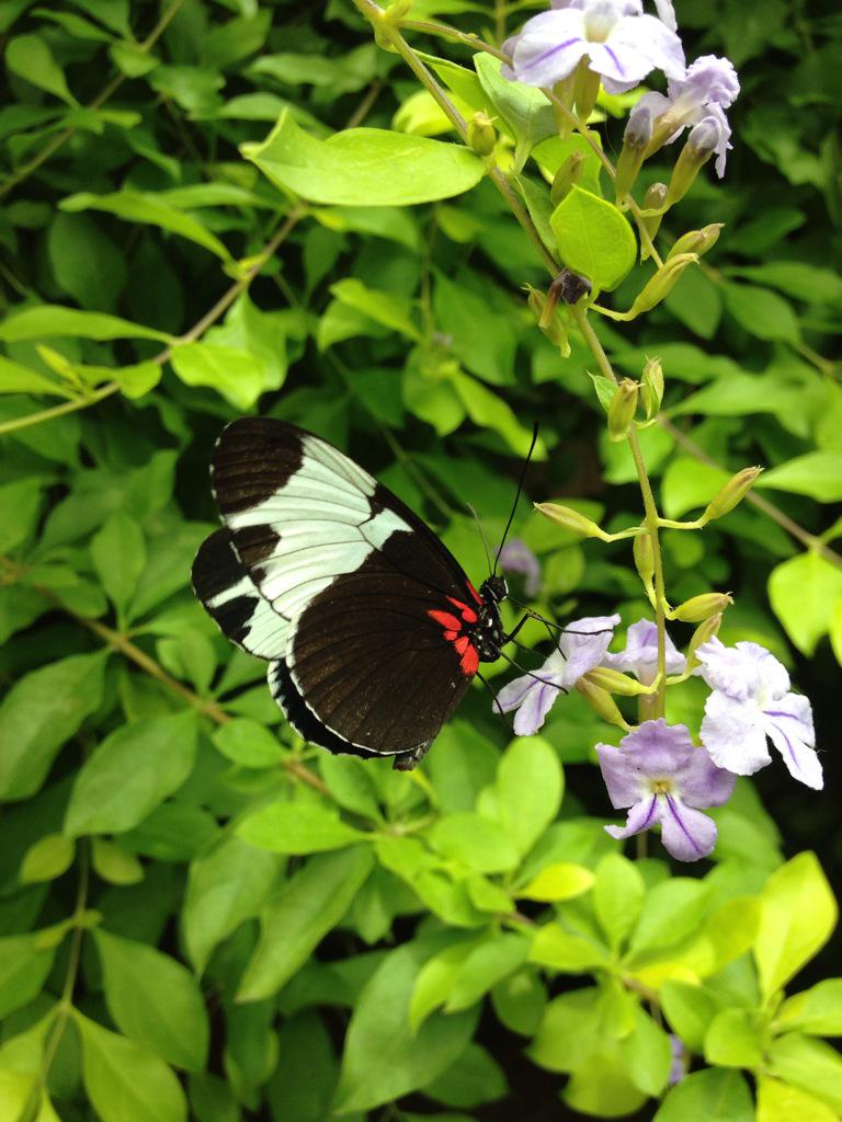 #steamtrip15 <a href="/PinkstonMiddle/">Pinkston Middle</a> Enjoying a beautiful day with some great middle school kids and teachers!