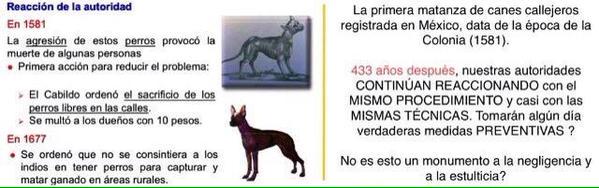 gabylolis's tweet photo. Matar no ha sido la solución, exigimos que se actúe ya con programas de control ético #SagarpaMata @SAGARPA_mx http://t.co/CHvRTtARyD