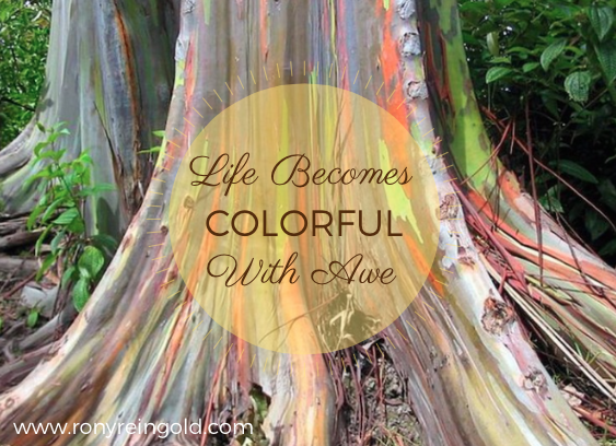 RonyReingold's tweet photo. There is beauty all around and beauty within.  Life becomes colorful when we allow ourselves to be in AWE. http://t.co/lkSDcIN1PM