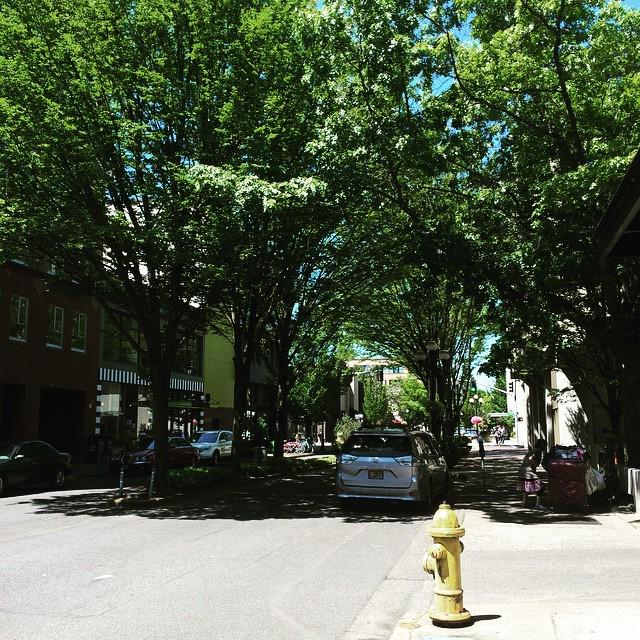 _NotasDirectas_'s tweet photo. Perk of working in Eugene. Pretty downtown scenery. #pnw #summer #sun #tgif #lawfirm #oregon #eugene #enoughhashtag… http://t.co/Lv3QFk3yeC