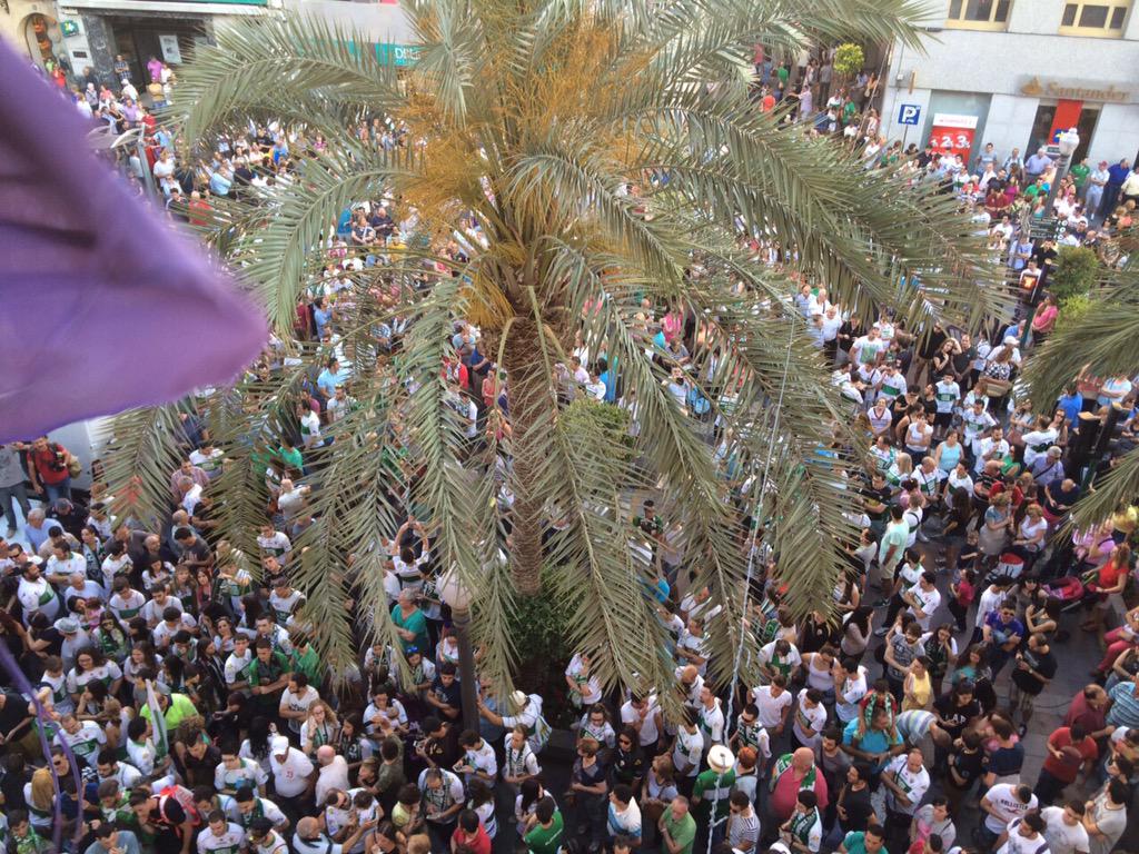 TeleElx's tweet photo. Sigue llegando gente a la Plaça de Baix con cánticos contra la Liga y entonando el Aromas. #YoApoyoAlElche #Elche http://t.co/CC73Tx2H4W