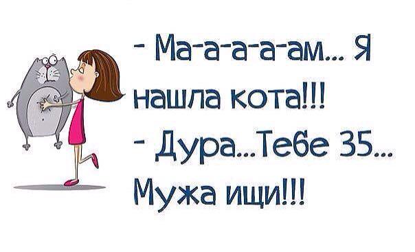 Ночи картинки, ищу мужа смешная картинка