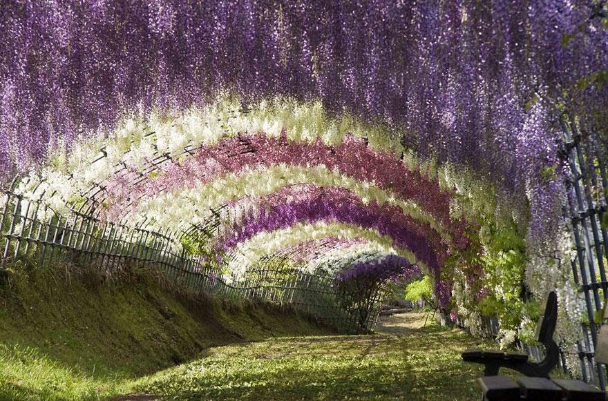 Morsalkım tüneli, Japonya