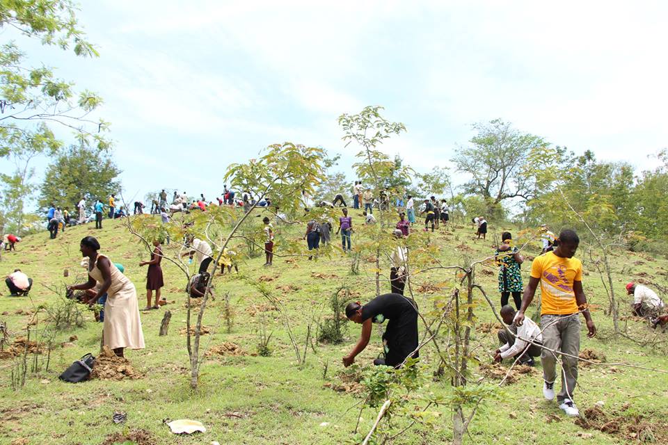 MouvementPaysanPapay tweet media