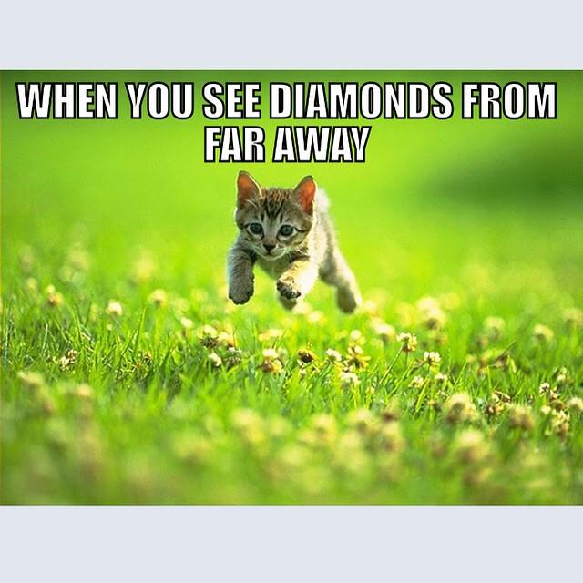 MineCraftFLL's tweet image. by diamond_minecraft_lover #mcfail #minecraft #minecraftfail #minecraftmob #minecraftgame #minecraftfun #mcfun #min…