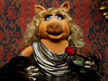 MSNBC resorts to asking Miss Piggy if she's pro-choice