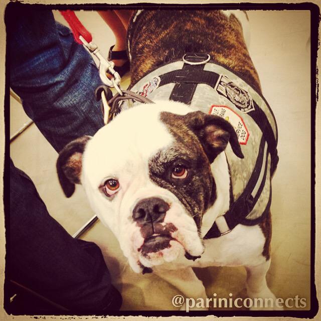 pariniconnects's tweet photo. Big thanks to @nwdefense and @DaveHuntClackCo for supporting @clackcollege #veterans #students & #MFSE. http://t.co/UPs9EuKrqp