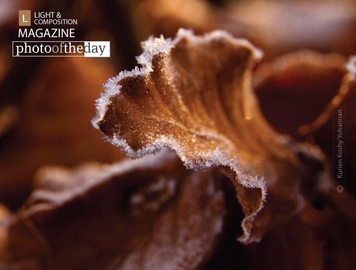 Frost, by Kurien Koshy Yohannan - bit.ly/Ke0nm9 - #Edinburgh #Scotland