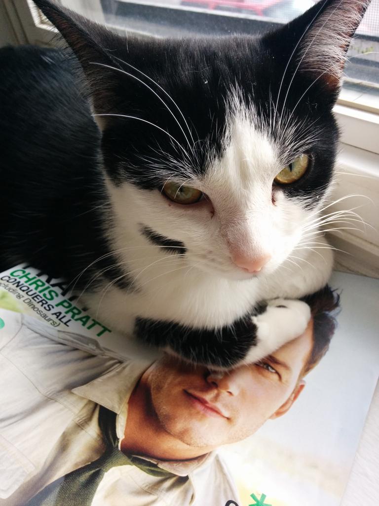 hungrylearner's tweet image. .@prattprattpratt "You can't haz him. He's mine"