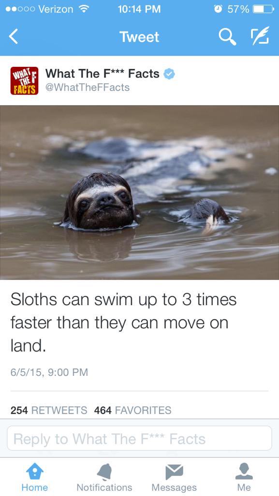 Swimmingisme's tweet photo. I am a sloth http://t.co/ketNlXrWTH