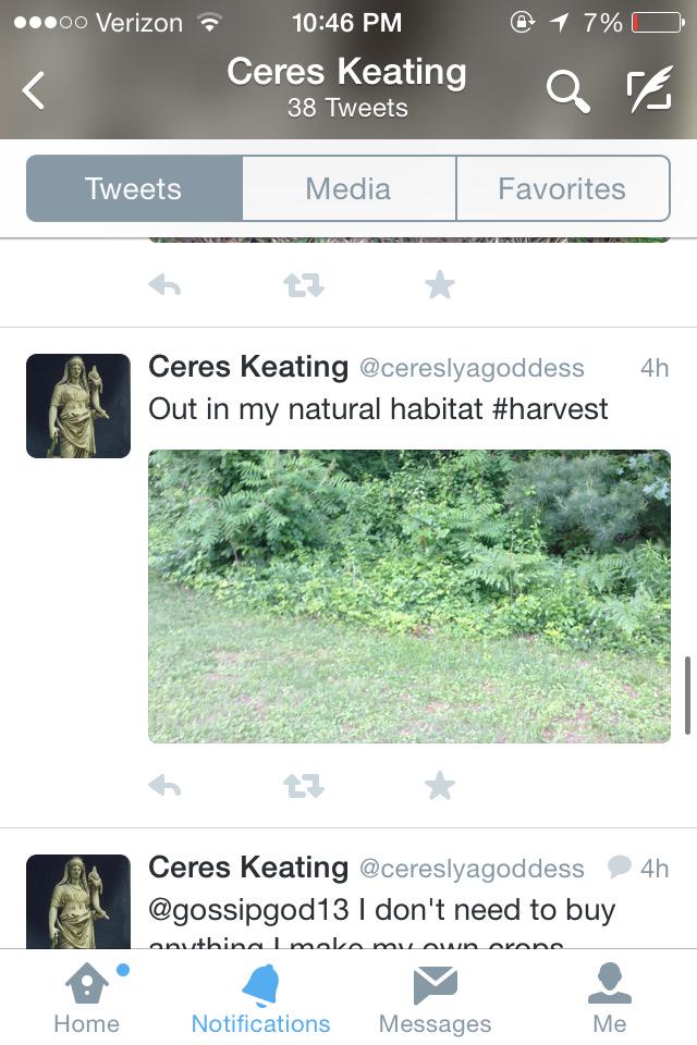 JanusBell's tweet photo. @cereslyagoddess are you referring to your ferns? http://t.co/nghIKmsYSI