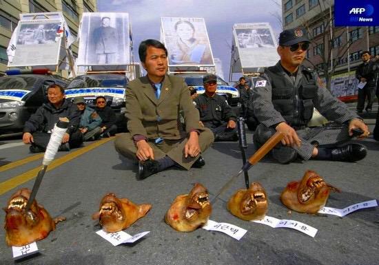 崔碩栄 على تويتر Shinjukunakano 韓国の反日デモで犬の首が使われたことはありますが それ秋田犬ではないです 崔碩栄 على تويتر Shinjukunakano 韓国の反日デモで犬の首が使われたことはありますが それ秋田犬ではないです