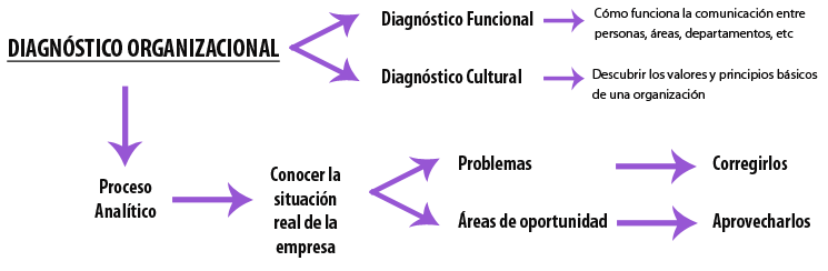 Diagnostico organizacional