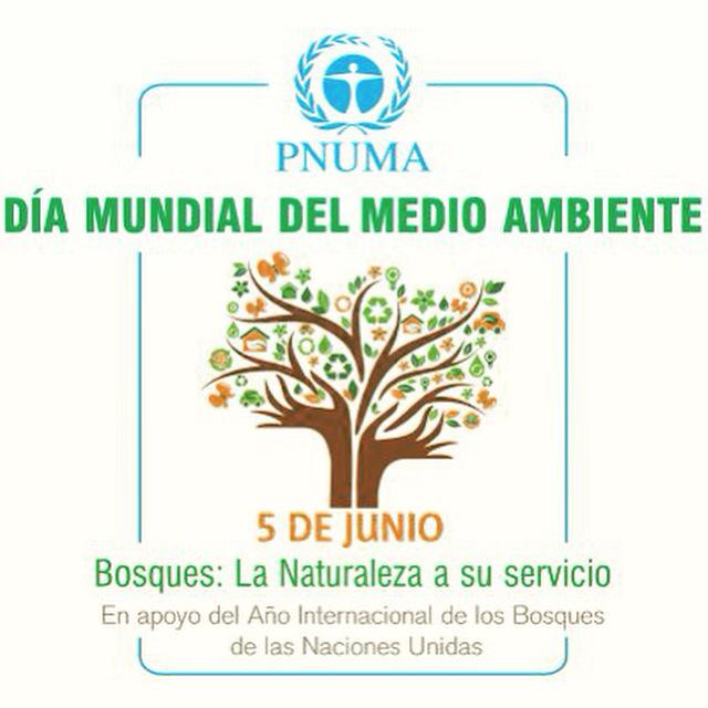 _VidaVerde's tweet image. Celebremos este día poniendo nuestro granito de arena! instagram.com/p/3kkJCilZZC/