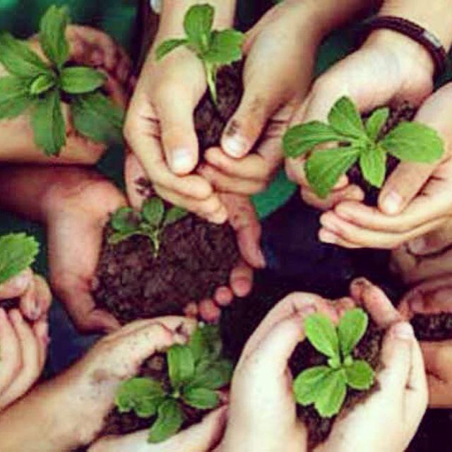 _VidaVerde's tweet image. Apoyar esta causa! •Siembra un árbol •Usa productos biodegradables •ReutilizaReduceRecicla instagram.com/p/3kk4QDFZaO/