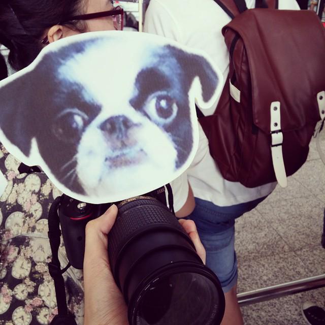 T_ARAPETS's tweet photo. #영미니: "저의 유명한 얼굴... 효민 누나 나만 봐두세요우~🐶"
A fan use #Youngmini pic to attract Hyomin's attentionㅋㅋㅋ genius 😆
#t_dogs http://t.co/PQceWj2UZf