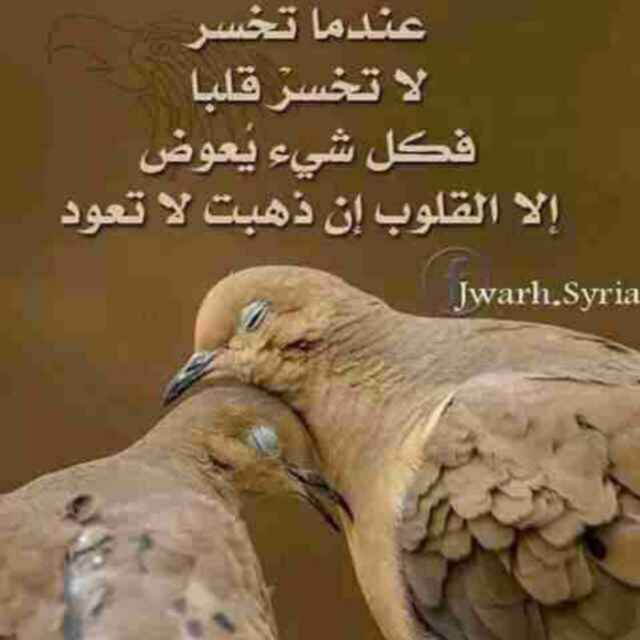 ๑۩۞۩๑(¯`ɒнєyαα´¯)๑۩۞ (@diyaa_da) on Twitter photo 