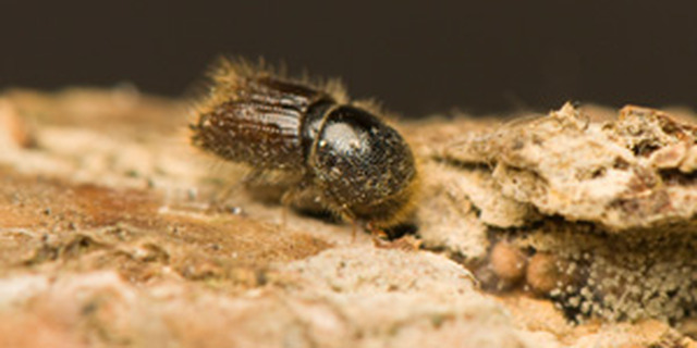 Gary McKibbin  (@gary_mckibbinpr) on Twitter photo 