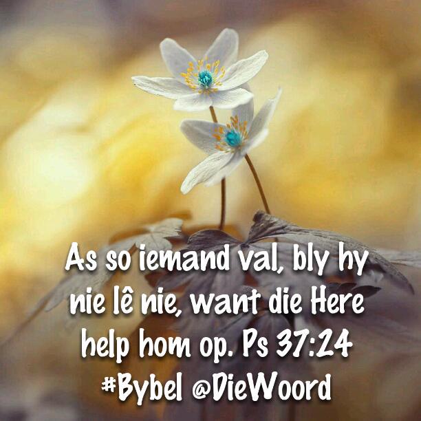 As so iemand val, bly hy nie lê nie, want die Here help hom op. Ps 37:24 #Bybel
