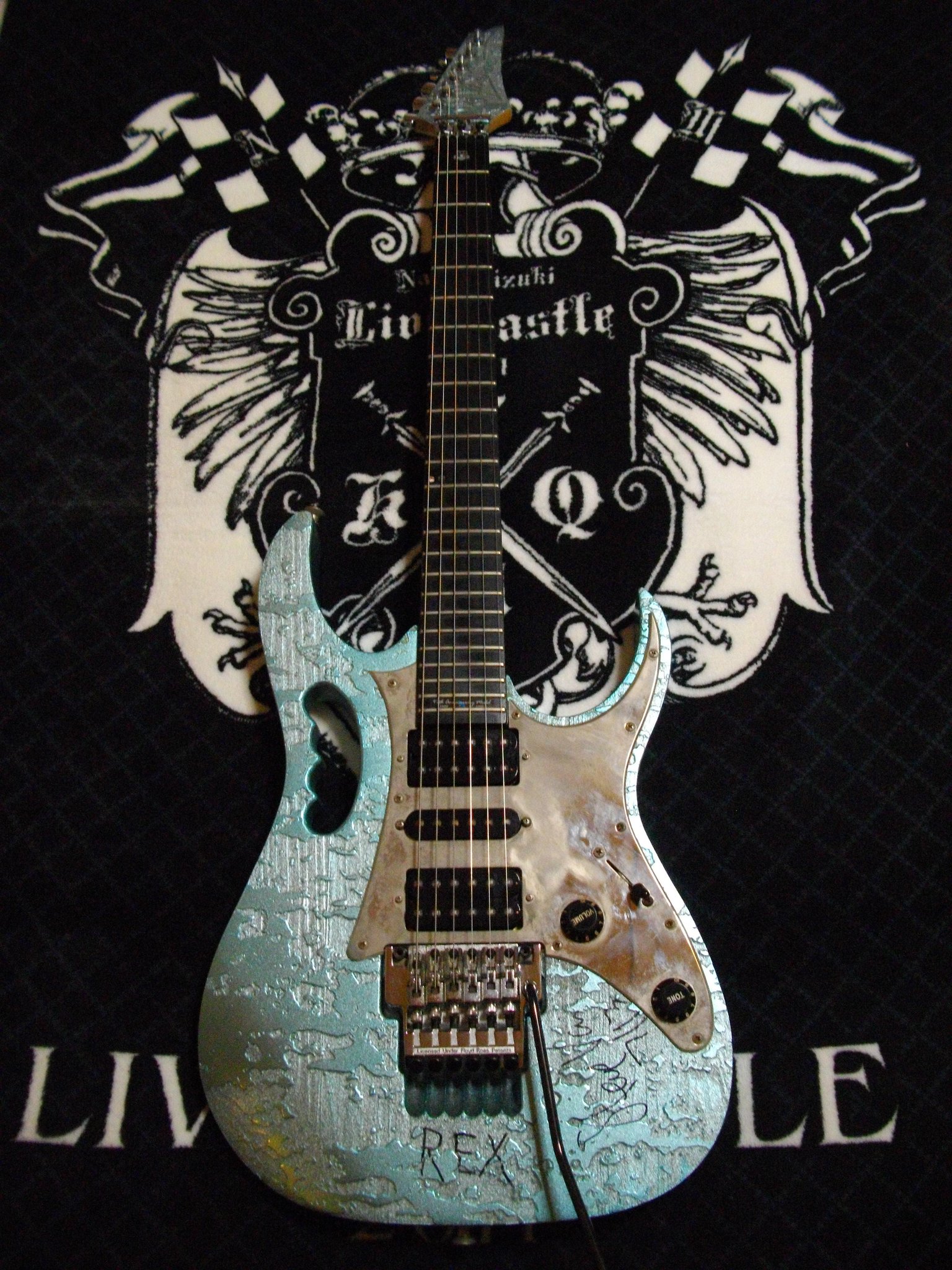  Happy birthday Mr.Steve Vai!
I\m proud of playing the JEM named and autographed by you.
Thank you. 