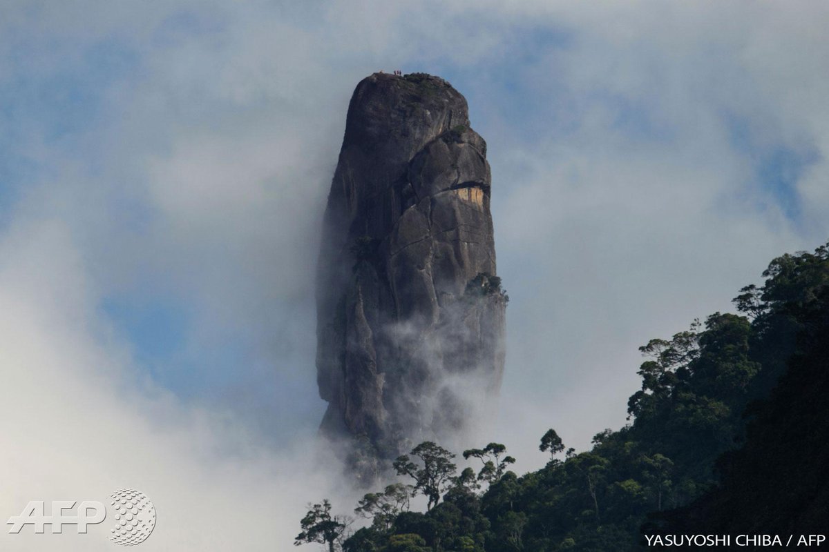 Agence France-Presse tweet media