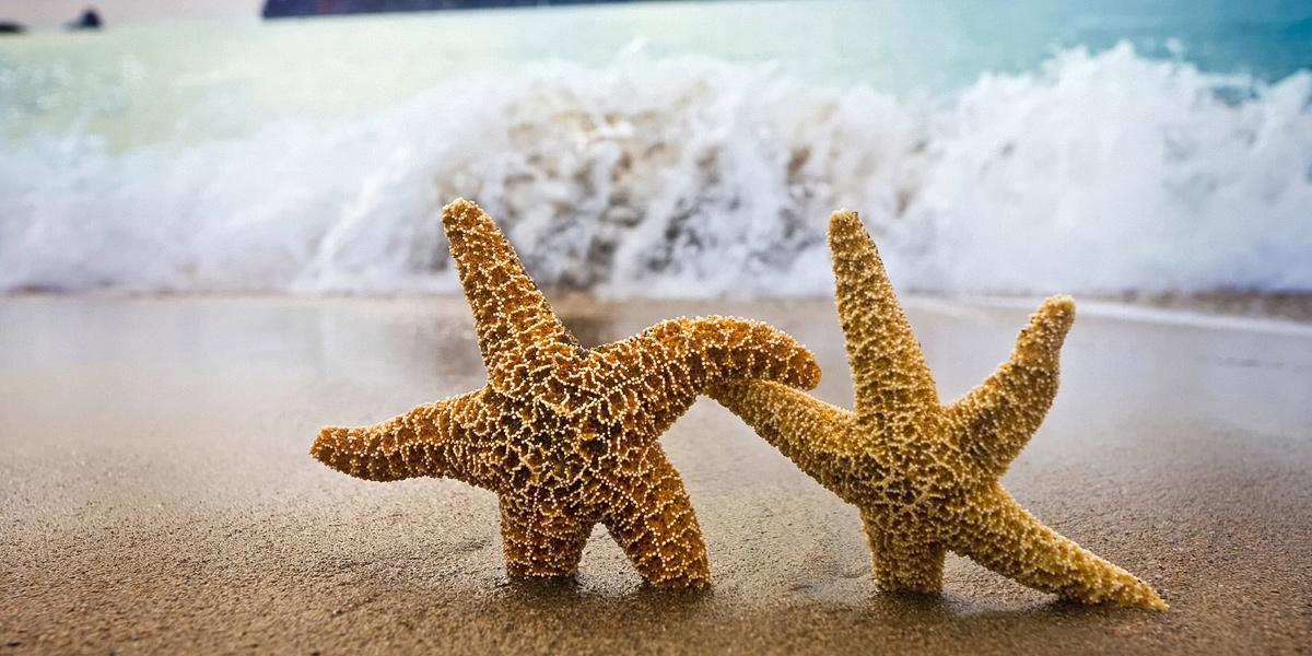 kelsey clark (@kelsey110694) on Twitter photo 