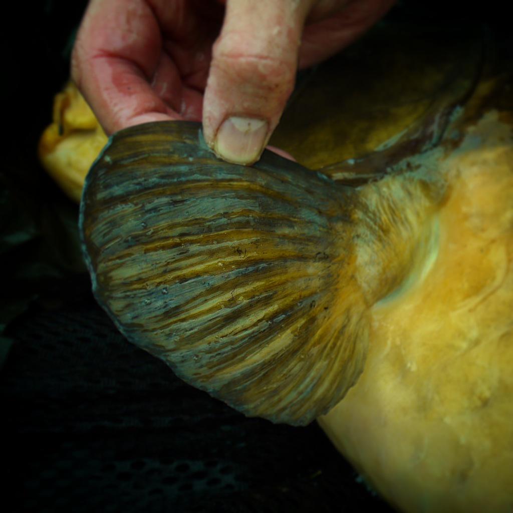 Tomawhite's tweet photo. Fossils can be unearthed.. http://t.co/YAaT2RhhfC