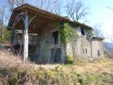 Pyrenean retreat - barn to renovate with 3 acres of woodland 24K€ DMS France, we realise your dreams!