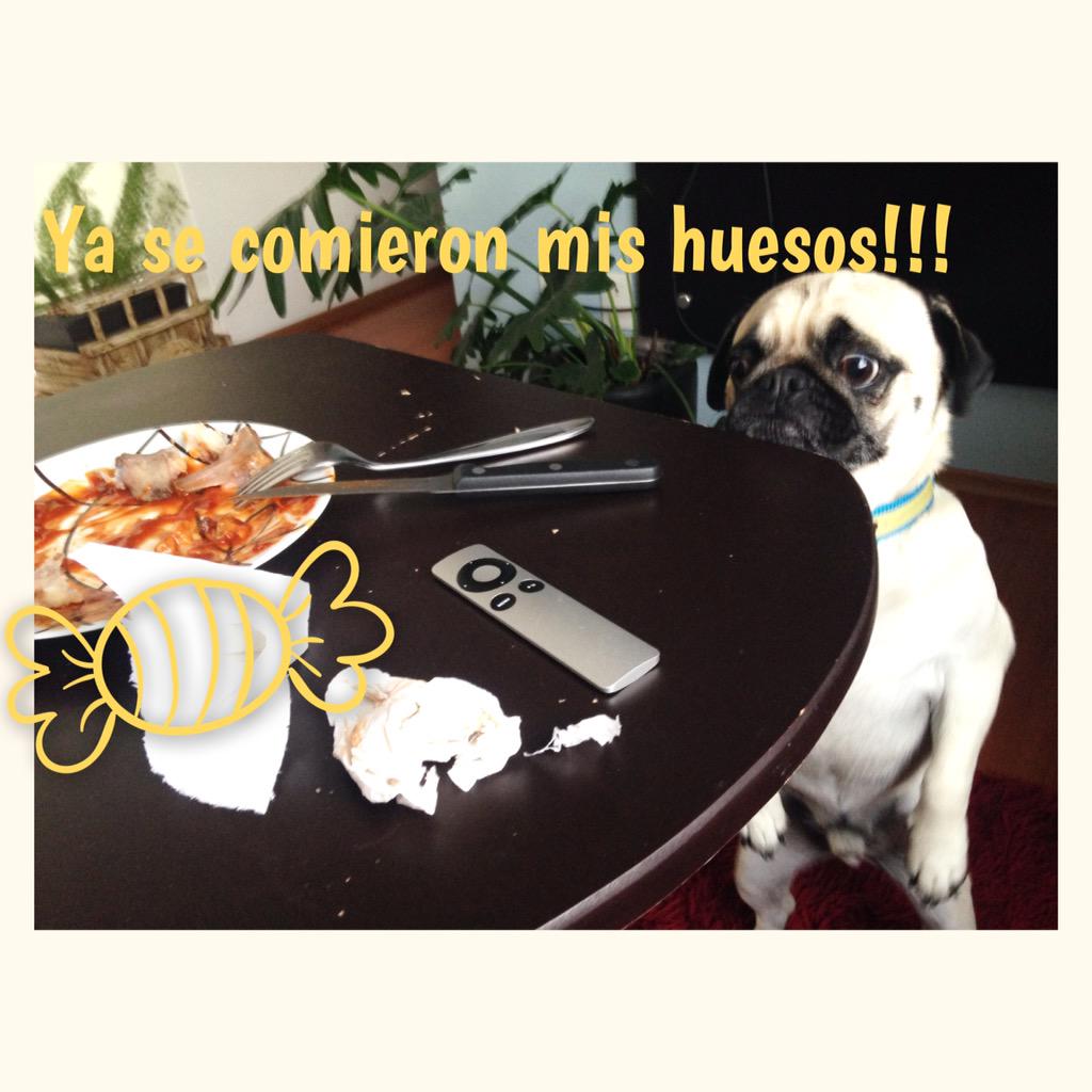 FaBicho's tweet image. BenitoBanana