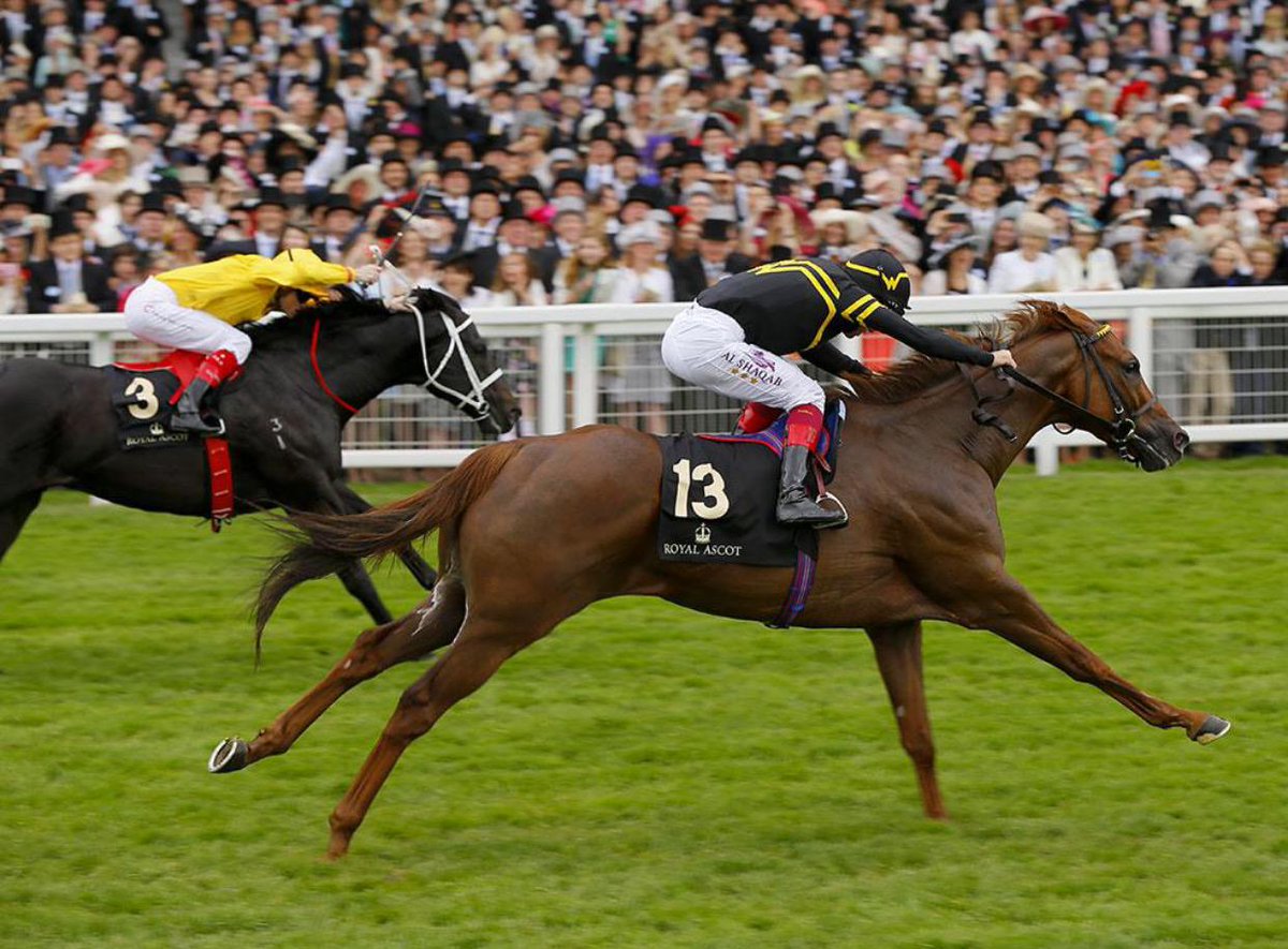 Undrafted – Diamond Jubilee Stakes 2015