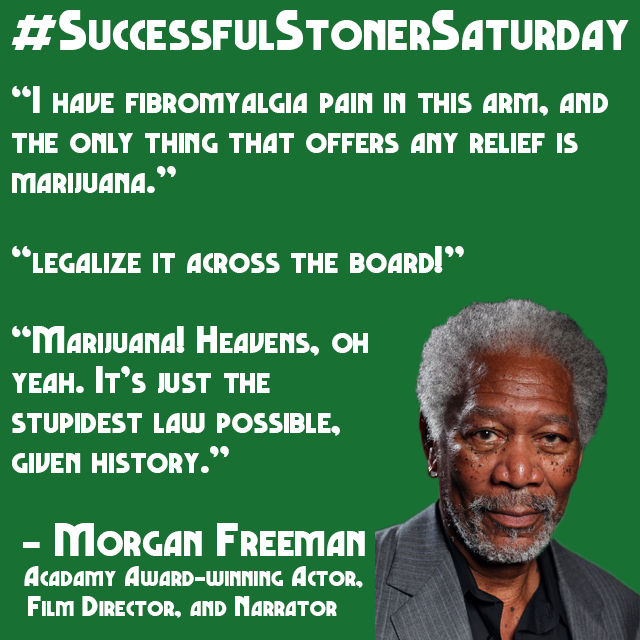 NORML tweet picture